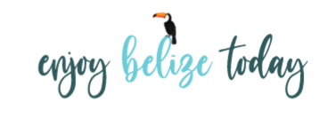 Belize Today Logo